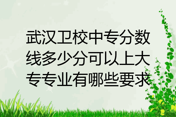 武汉卫校中专分数线多少分可以上大专专业有哪些要求