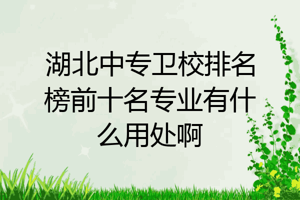 湖北中专卫校排名榜前十名专业有什么用处啊