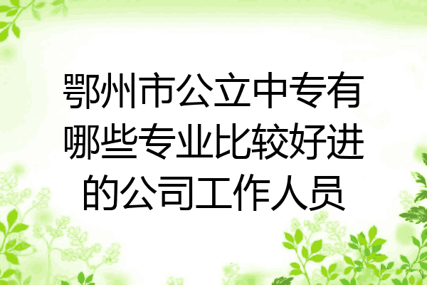 鄂州市公立中专有哪些专业比较好进的公司工作人员