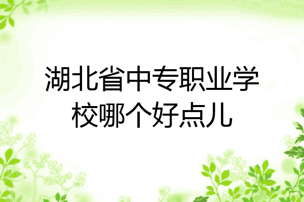 湖北省中专职业学校哪个好点儿
