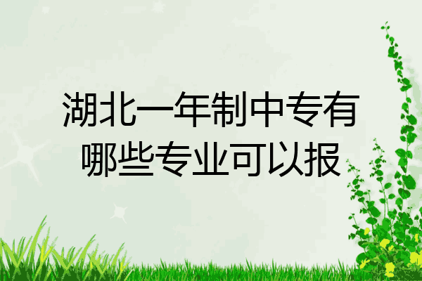 湖北一年制中专有哪些专业可以报