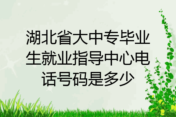 湖北省大中专毕业生就业指导中心电话号码是多少
