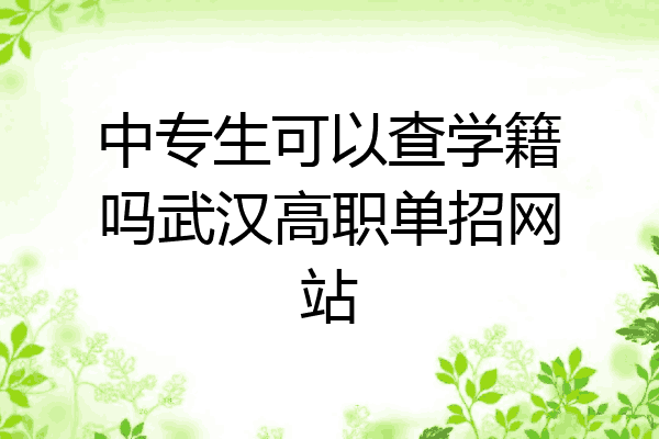 中专生可以查学籍吗武汉高职单招网站