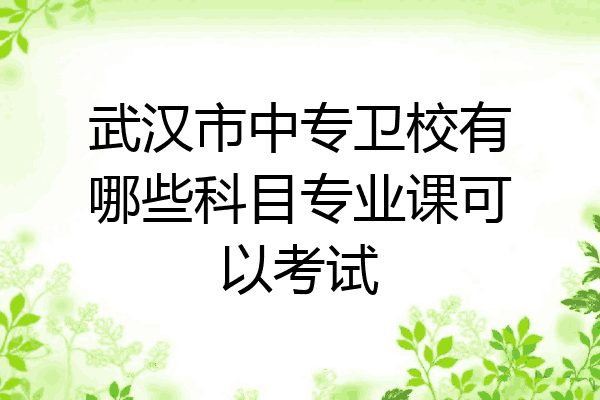 武汉市中专卫校有哪些科目专业课可以考试