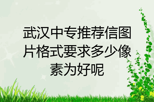 武汉中专推荐信图片格式要求多少像素为好呢
