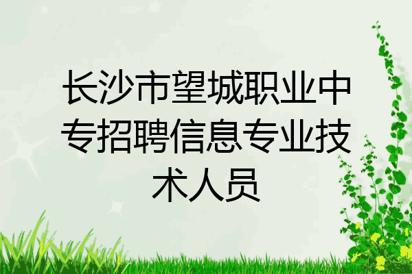 长沙市望城职业中专招聘信息专业技术人员