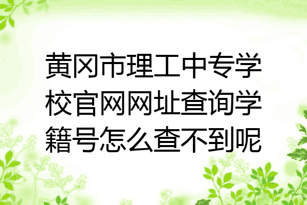 黄冈市理工中专学校官网网址查询学籍号怎么查不到呢