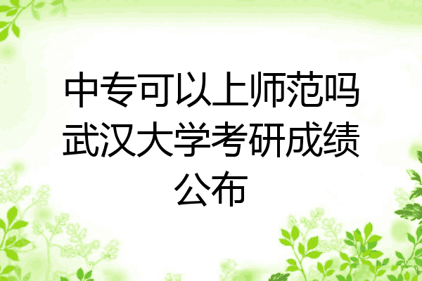 中专可以上师范吗武汉大学考研成绩公布