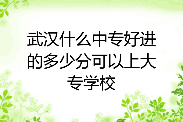 武汉什么中专好进的多少分可以上大专学校