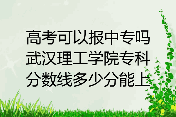 高考可以报中专吗武汉理工学院专科分数线多少分能上