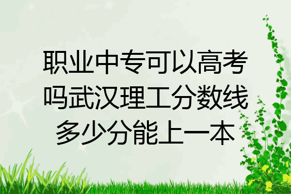 职业中专可以高考吗武汉理工分数线多少分能上一本