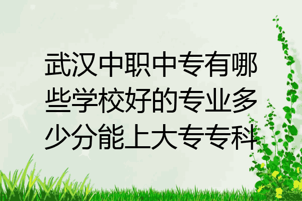武汉中职中专有哪些学校好的专业多少分能上大专专科