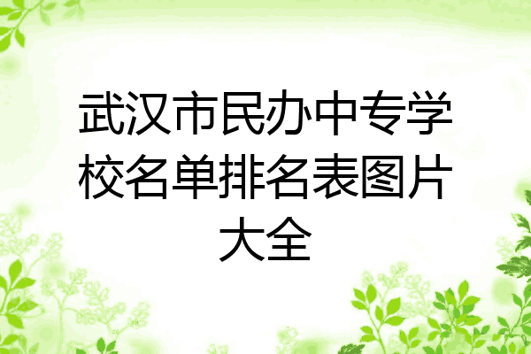武汉市民办中专学校名单排名表图片大全