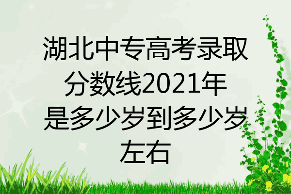 湖北中专高考录取分数线2021年是多少岁到多少岁左右