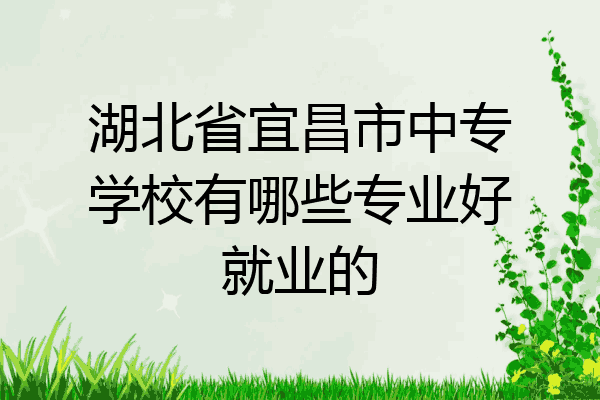 湖北省宜昌市中专学校有哪些专业好就业的