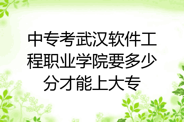 中专考武汉软件工程职业学院要多少分才能上大专