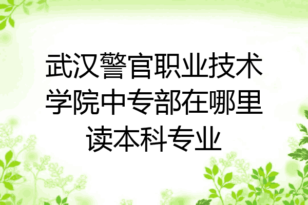 武汉警官职业技术学院中专部在哪里读本科专业