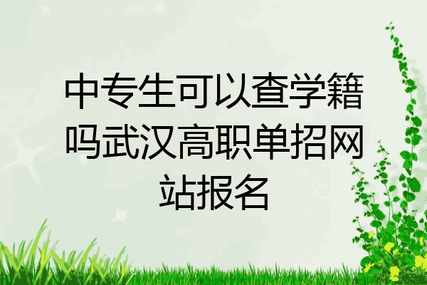 中专生可以查学籍吗武汉高职单招网站报名