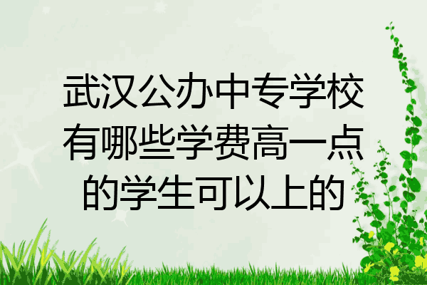 武汉公办中专学校有哪些学费高一点的学生可以上的