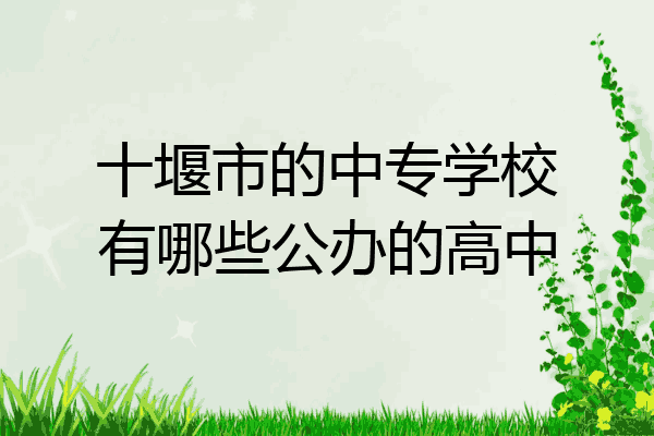 十堰市的中专学校有哪些公办的高中