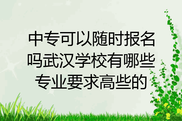 中专可以随时报名吗武汉学校有哪些专业要求高些的