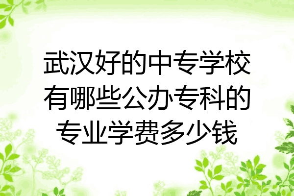 武汉好的中专学校有哪些公办专科的专业学费多少钱