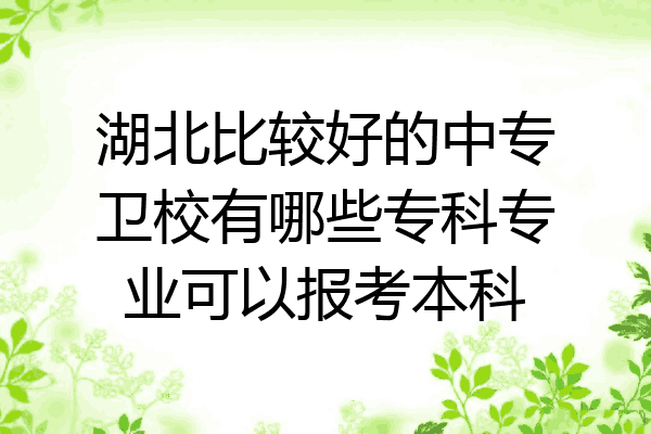 湖北比较好的中专卫校有哪些专科专业可以报考本科