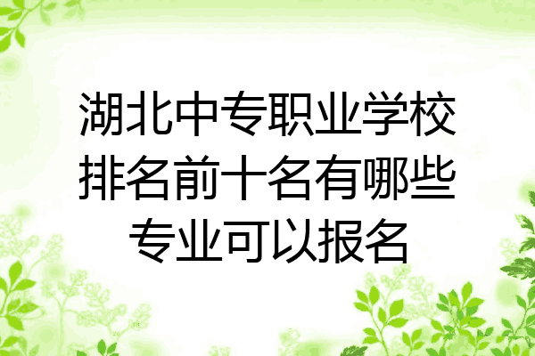湖北中专职业学校排名前十名有哪些专业可以报名