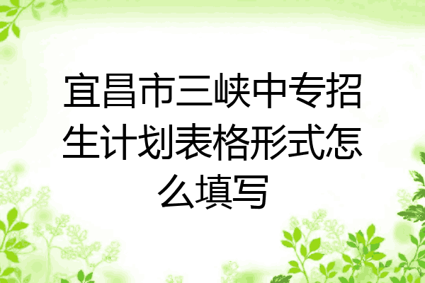 宜昌市三峡中专招生计划表格形式怎么填写