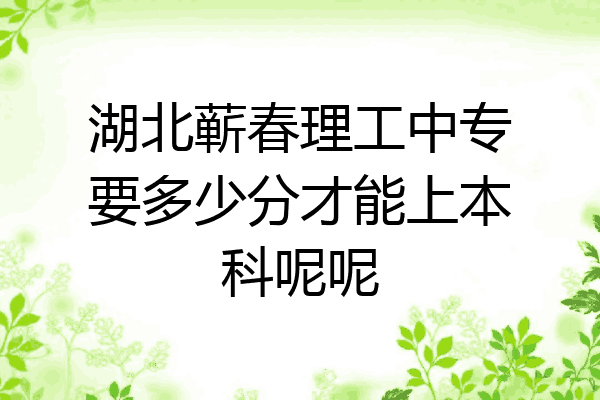 湖北蕲春理工中专要多少分才能上本科呢呢