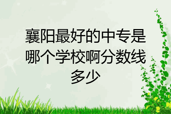 襄阳最好的中专是哪个学校啊分数线多少