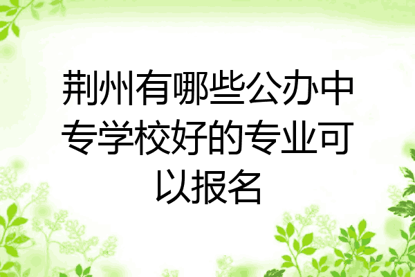 荆州有哪些公办中专学校好的专业可以报名