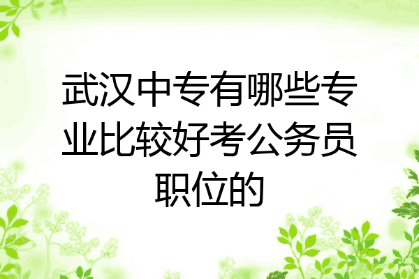 武汉中专有哪些专业比较好考公务员职位的