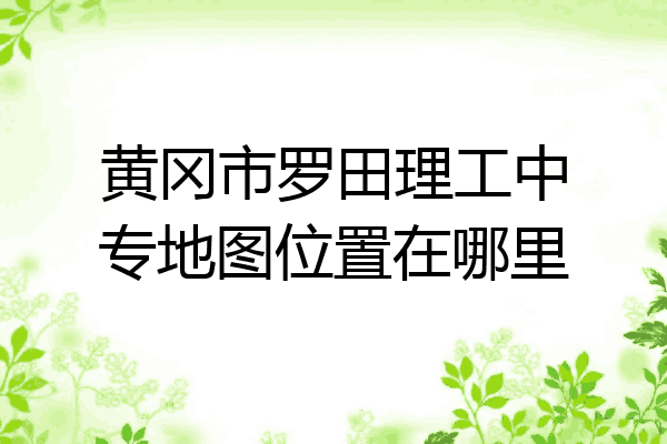 黄冈市罗田理工中专地图位置在哪里