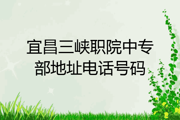 宜昌三峡职院中专部地址电话号码