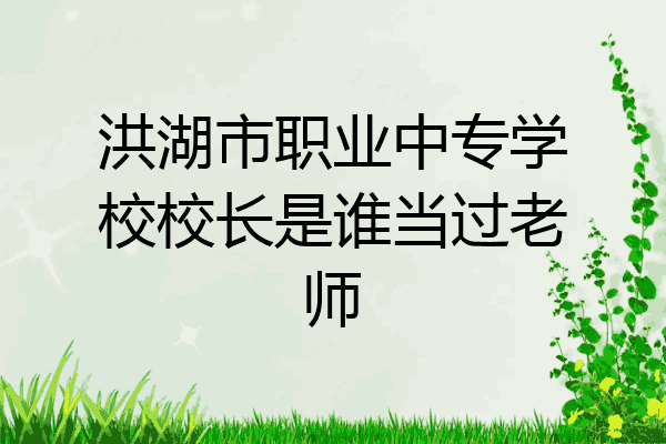 洪湖市职业中专学校校长是谁当过老师