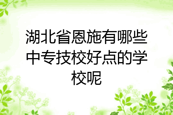 湖北省恩施有哪些中专技校好点的学校呢