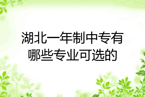 湖北一年制中专有哪些专业可选的