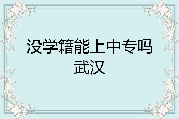 没学籍能上中专吗武汉