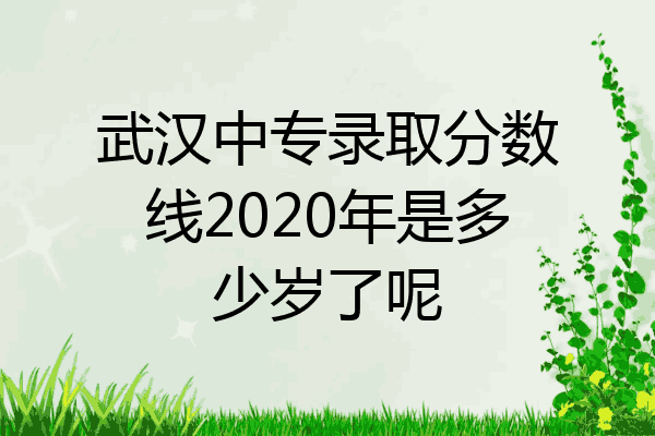 武汉中专录取分数线2020年是多少岁了呢