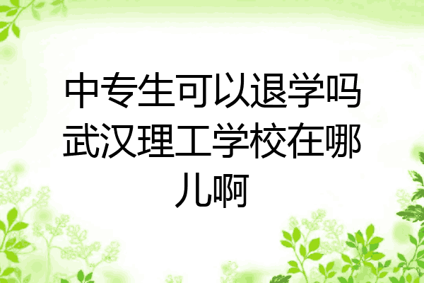 中专生可以退学吗武汉理工学校在哪儿啊