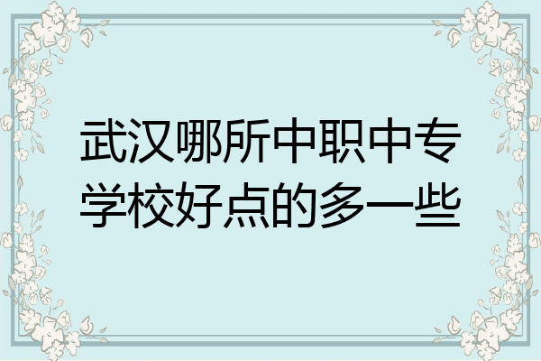 武汉哪所中职中专学校好点的多一些