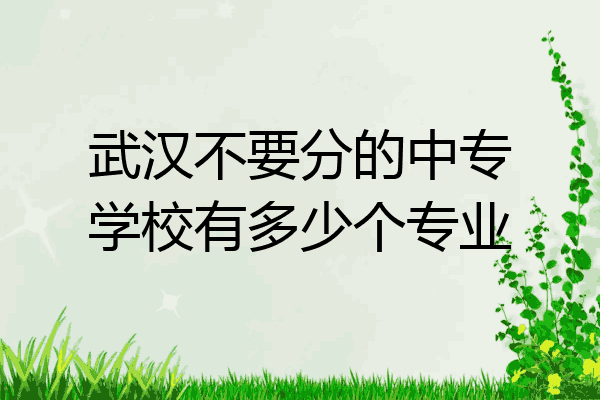武汉不要分的中专学校有多少个专业