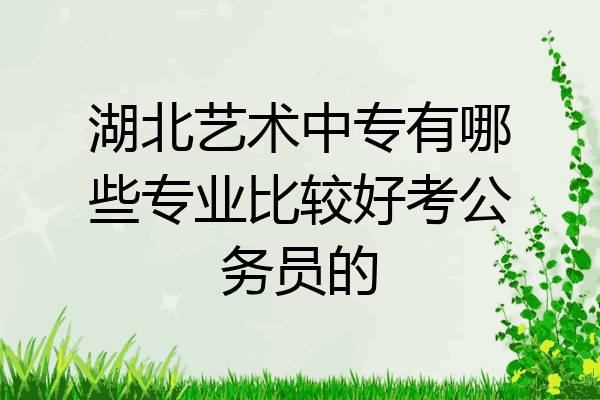 湖北艺术中专有哪些专业比较好考公务员的