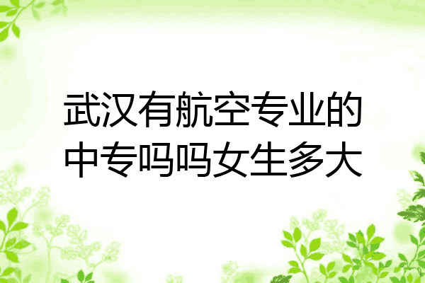 武汉有航空专业的中专吗吗女生多大