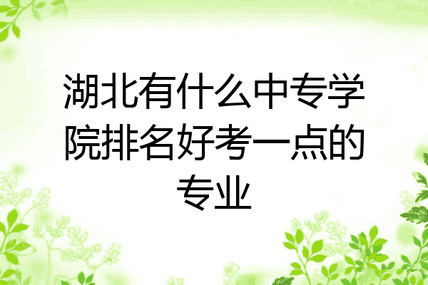 湖北有什么中专学院排名好考一点的专业