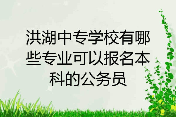 洪湖中专学校有哪些专业可以报名本科的公务员