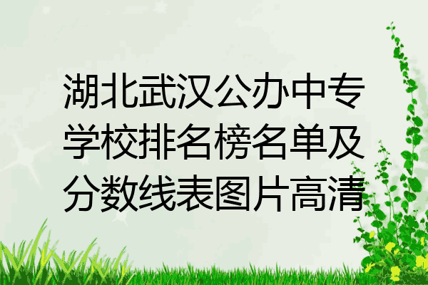 湖北武汉公办中专学校排名榜名单及分数线表图片高清