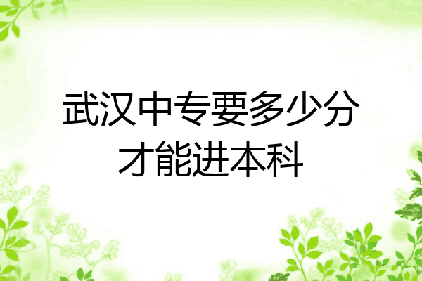 武汉中专要多少分才能进本科
