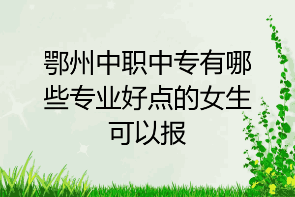 鄂州中职中专有哪些专业好点的女生可以报